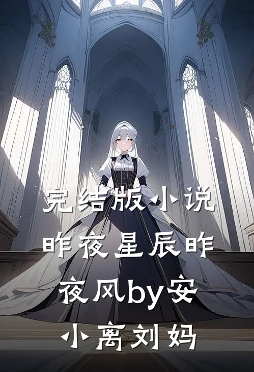完结版小说昨夜星辰昨夜风by安小离刘妈