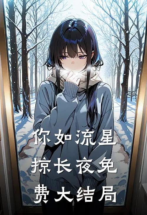 你如流星掠长夜免费大结局