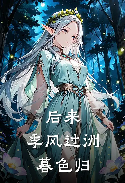 后来，季风过洲暮色归