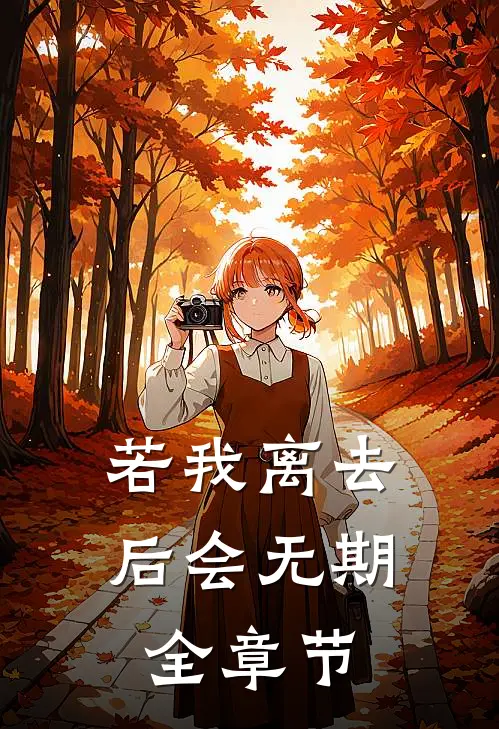 若我离去，后会无期全章节