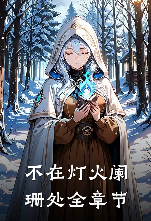 不在灯火阑珊处全章节