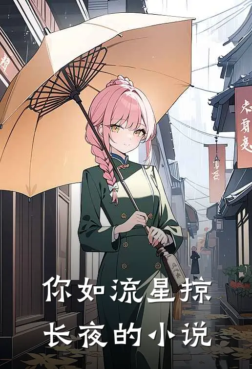 你如流星掠长夜的小说