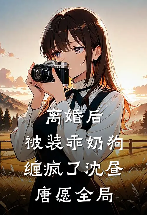 离婚后，被装乖奶狗缠疯了沈昼唐愿全局