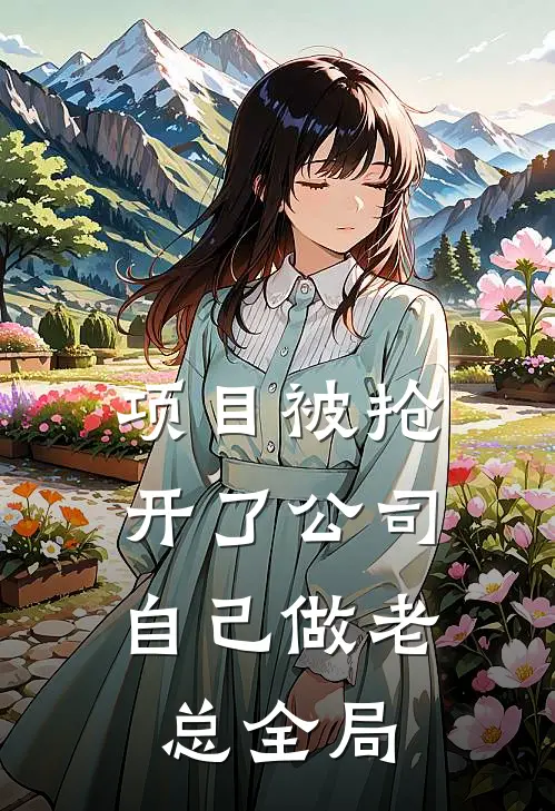 项目被抢，开了公司自己做老总全局