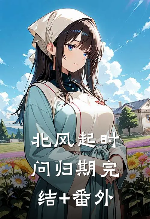 北风起时问归期完结+番外