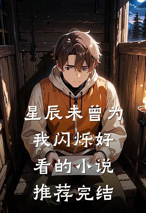 星辰未曾为我闪烁好看的小说推荐完结
