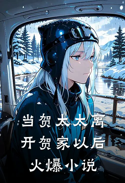 当贺太太离开贺家以后火爆小说
