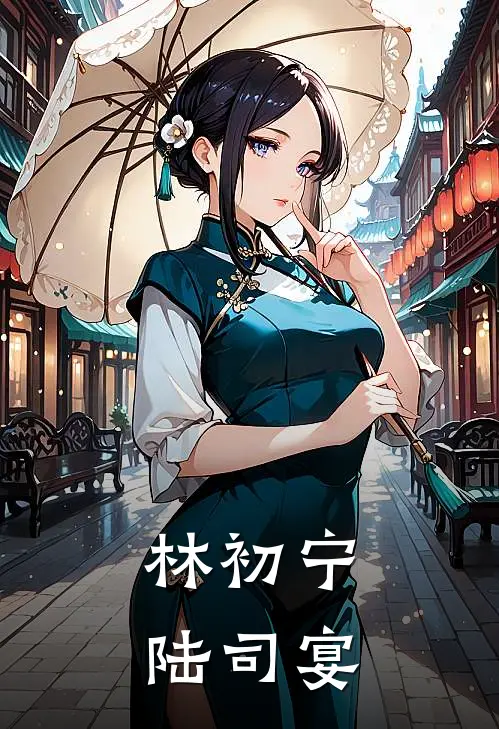 林初宁陆司宴