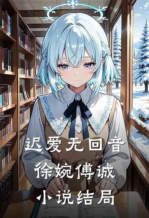 迟爱无回音徐婉傅诚小说结局