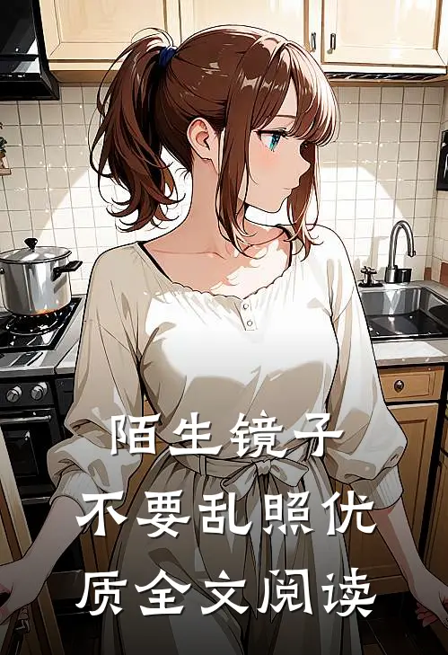 陌生镜子，不要乱照优质全文阅读