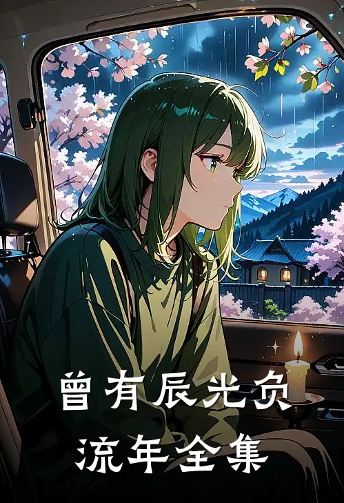 曾有辰光负流年全集