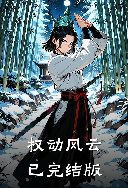 权动风云已完结版