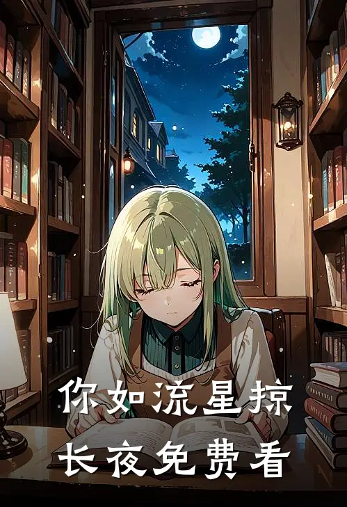 你如流星掠长夜免费看