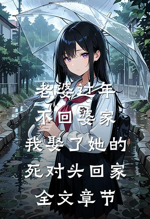 老婆过年不回婆家，我娶了她的死对头回家全文章节