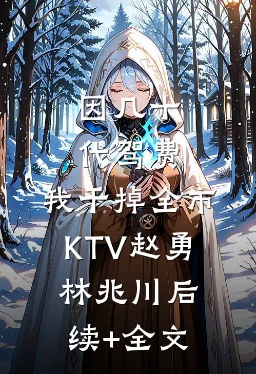因几十代驾费，我干掉全市KTV赵勇林兆川后续+全文
