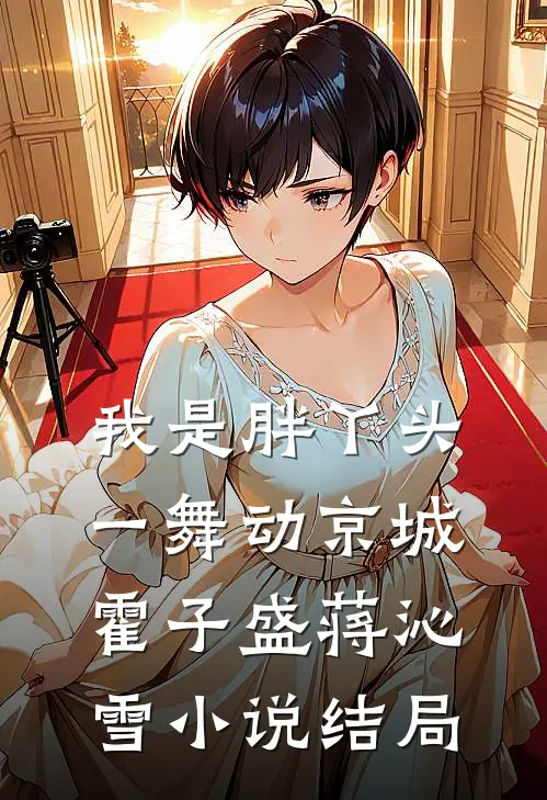 我是胖丫头，一舞动京城霍子盛蒋沁雪小说结局