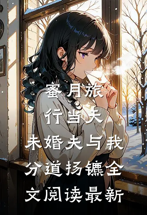 蜜月旅行当天，未婚夫与我分道扬镳全文阅读最新