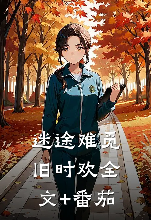 迷途难觅旧时欢全文+番茄