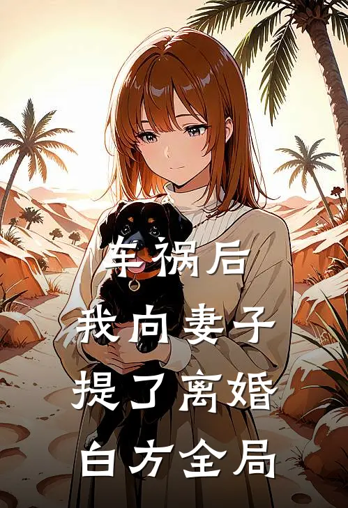 车祸后，我向妻子提了离婚。白方全局