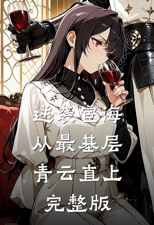 逆袭宦海：从最基层青云直上完整版