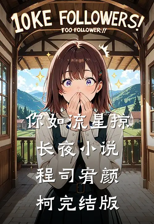 你如流星掠长夜小说程司宥颜柯完结版