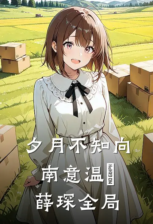 夕月不知向南意温珮薛琛全局