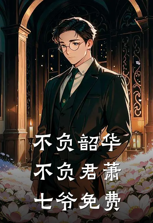 不负韶华不负君萧七爷免费