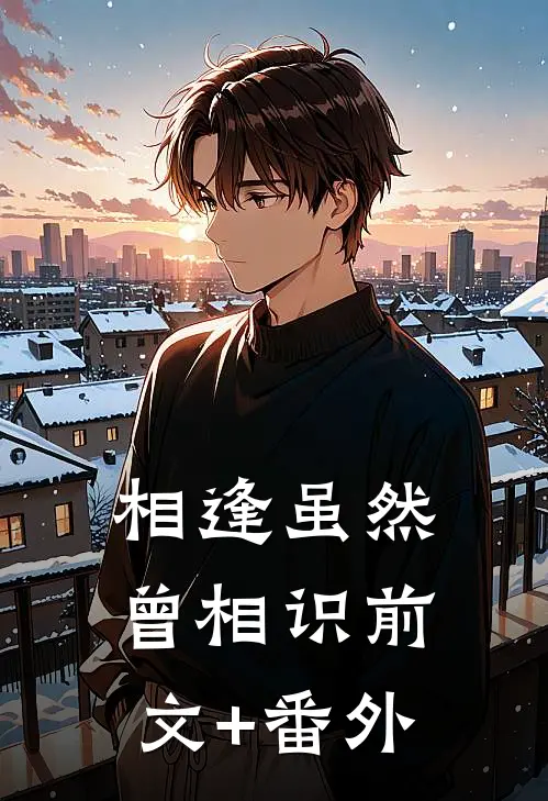 相逢虽然曾相识前文+番外