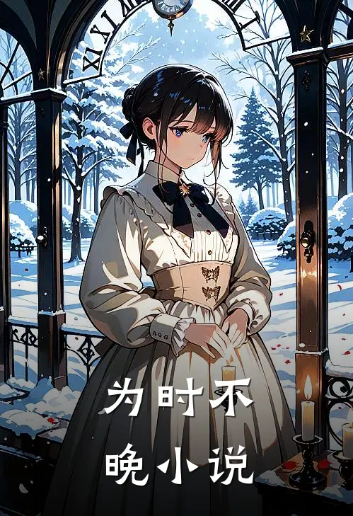 为时不晚小说