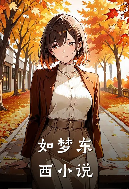 如梦东西小说