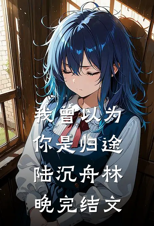 我曾以为你是归途陆沉舟林晚完结文